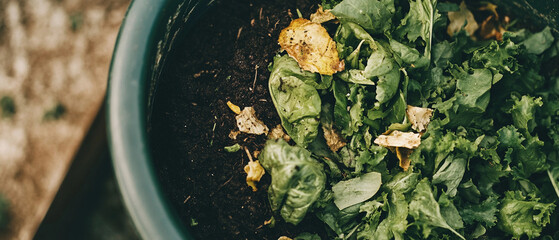 A compost bin filled with vegetable scraps, rich soil visible, earth-friendly gardening, close-up with high detail and natural colors.