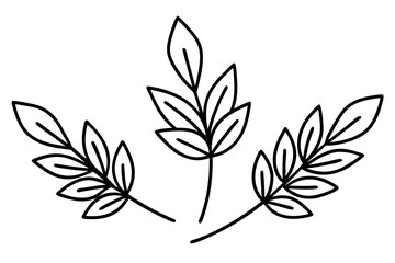 Fototapeta premium Botanical Herb and Leaf Line Art Illustration for Culinary Design