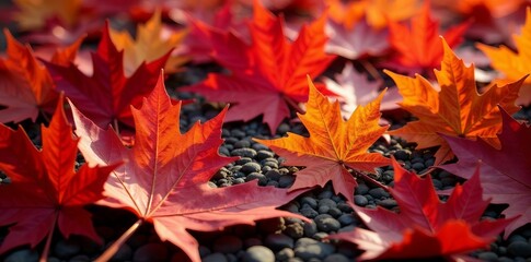 Vibrant red and orange maple leaves on ground, close-up view, ground, vibrant, red