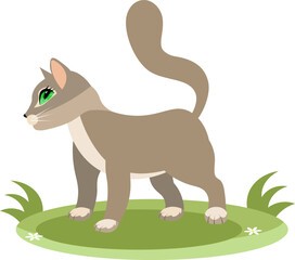 Cute animals. Vector cats. A grey cat is standing on the grass. Vector animals collection. Children flat vector illustrations.