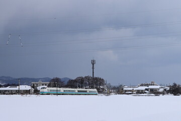 Fototapeta premium 雪原を疾走するE653系電車上沼垂色_特急「しらゆき」_2024/2/9撮影