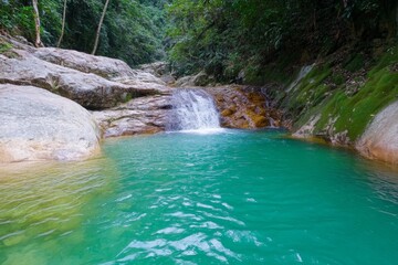 Naklejka premium A rainforest waterfall surrounded by dense vegetation, cascading into a hidden pool