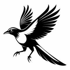 eagle vector illustration
