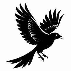 eagle in flight