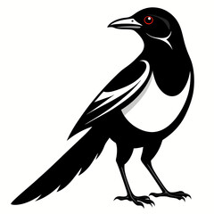 vector illustration of a crow