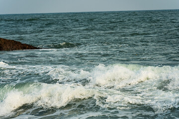 Printemps Éclatant : Jolie Plage au Sri Lanka