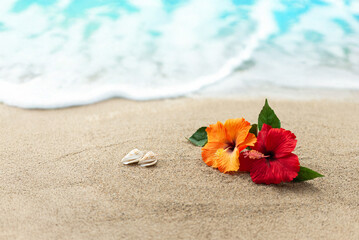 砂浜とハイビスカス