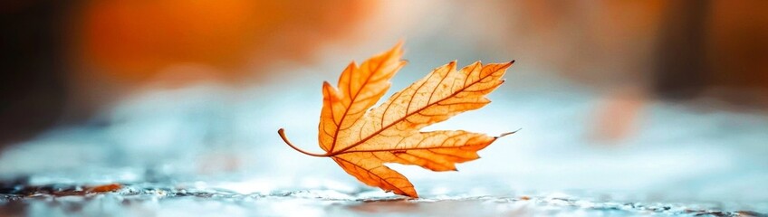 Obraz premium Nature's delicate moment: a leaf twirling to the ground.