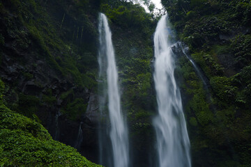 waterfall in the forest