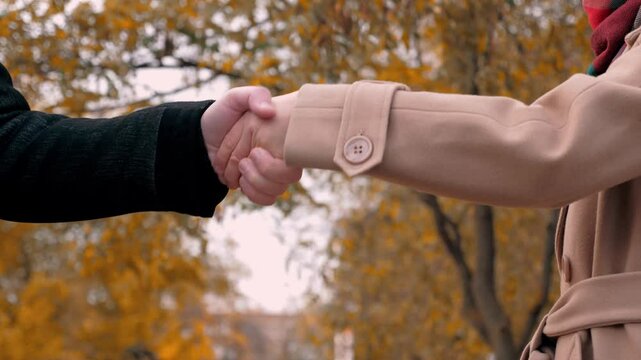 Polite handshake between man and woman at business meeting in autumn park. Joint business work and handshake between company employees. Handshake gesture in concluding agreement between man and woman