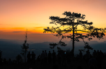 The sun is rising, there are big trees, the sky is beautiful.