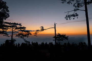 The sun is rising, there are big trees, the sky is beautiful.