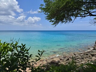 Caribbean landscape with view of a beach through tropical vegetation of Guadeloupe in the French...