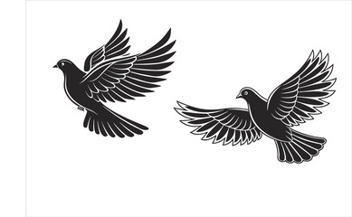 Fototapeta premium a-flying-dove-with-its-wings