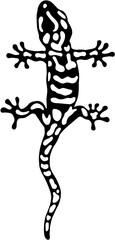 vector illustration of a gecko