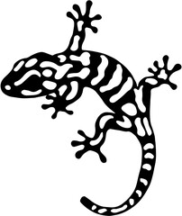 Vectors silhouette of gecko