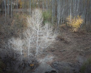 A view of an autumn landscape