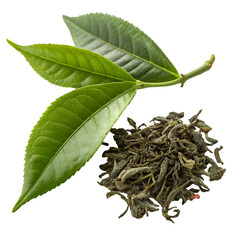 Green Tea Leaves & Loose Leaf Tea on trasparent background