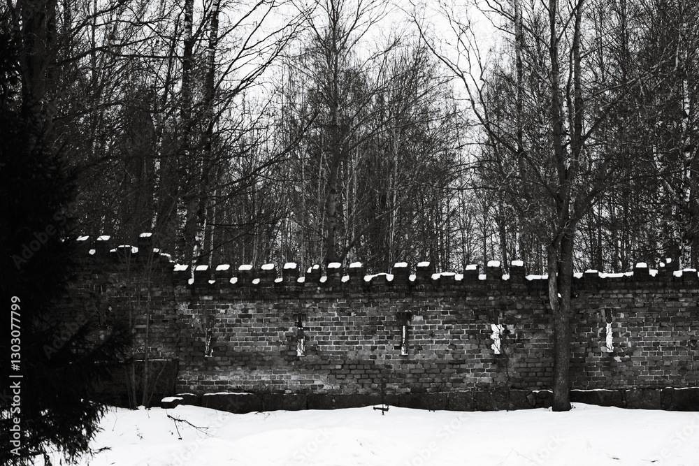 Poster A simple yet elegant image of a stone wall, perfect for use in architectural or historical contexts.