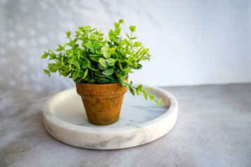 Vase with artificial green plant in marble tray for decoration.  Scandinavian interior style