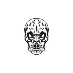 Skull in vintage style vector