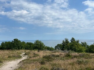 Obraz premium landscape with trees and clouds