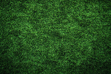 Fototapeta premium A close-up of lush green grass perfect for nature-themed designs, landscaping promotions, or eco-friendly events. Ideal for spring and summer graphics.