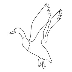 Obraz premium duck line art logo continuous line