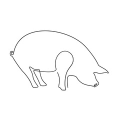 pig line art logo continuous line
