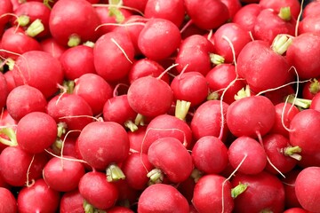 Many fresh radishes as background, above view
