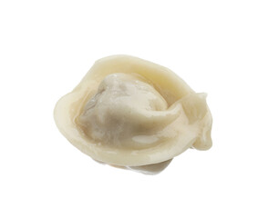 One delicious boiled dumpling isolated on white