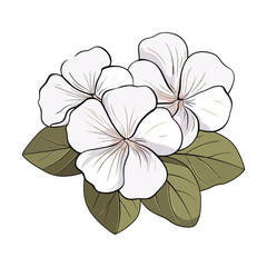 elegant illustration of a floral flower on a white