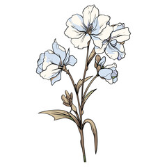elegant illustration of a floral flower on a white