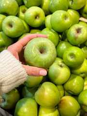 Hand holding  Green Apples Granny Smith 