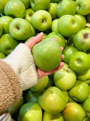 Hand holding  Green Apples Granny Smith 