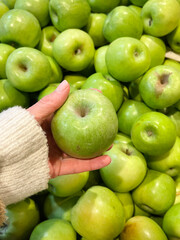 Hand holding  Green Apples Granny Smith 