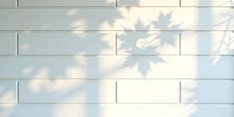 Tree leaves shadow  on white wall Abstract background. wall texture, background wallpaper, shadow effect,  Abstract  shadow background.