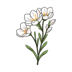 elegant illustration of a floral flower on a white