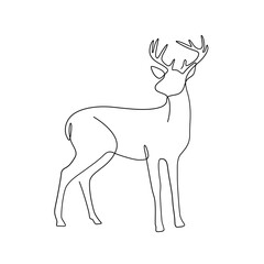 reindeer line art continuous line