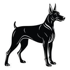 vector illustration of a black dog. Doberman Pinscher Dog Silhouette Vector Art.  A clean black silhouette of a Doberman Pinscher Standing isolated on a white background.