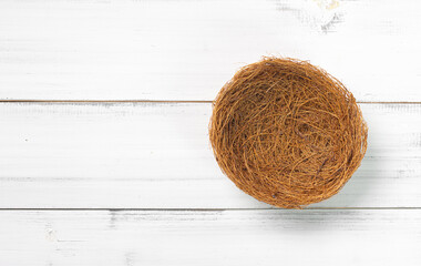 Empty Bird's Nest on White Wooden Background