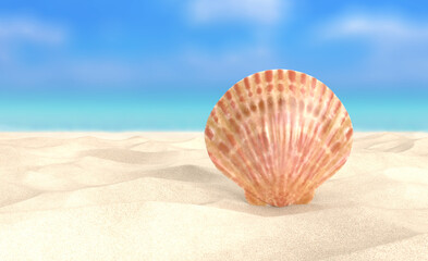 Seashell Resting on Soft Sand with Beautiful Ocean View