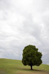 올림픽공원, 서울