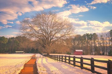 A winter landscape of a path in the snow leading to a large, majestic tree and a red barn in the background at Lake Benson Park in Garner, North Carolina.