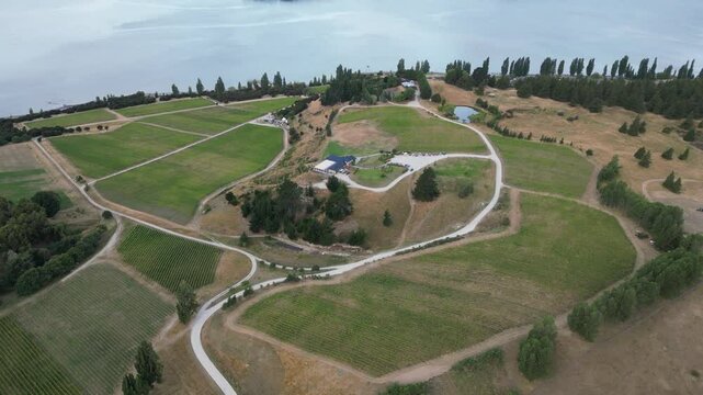 Wanaka Vineyard &ndash; Scenic Views of New Zealand&rsquo;s Vineyards