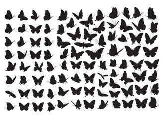 Butterflies silhouette set. Vector illustration. Set of doodle black butterfly silhouettes on wings isolated on white background. Set of butterfly silhouettes. isolated vector on white background.