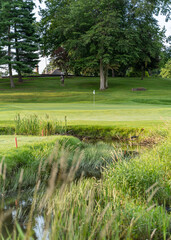 Obraz premium golf course in the morning