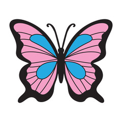 Vector hand drawn single pink and blue butterfly illustration isolated on white background.