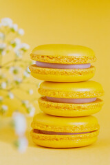 yellow macaroons on a yellow background