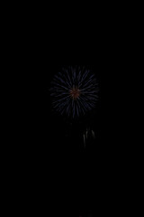 Fototapeta premium 打上げ花火
